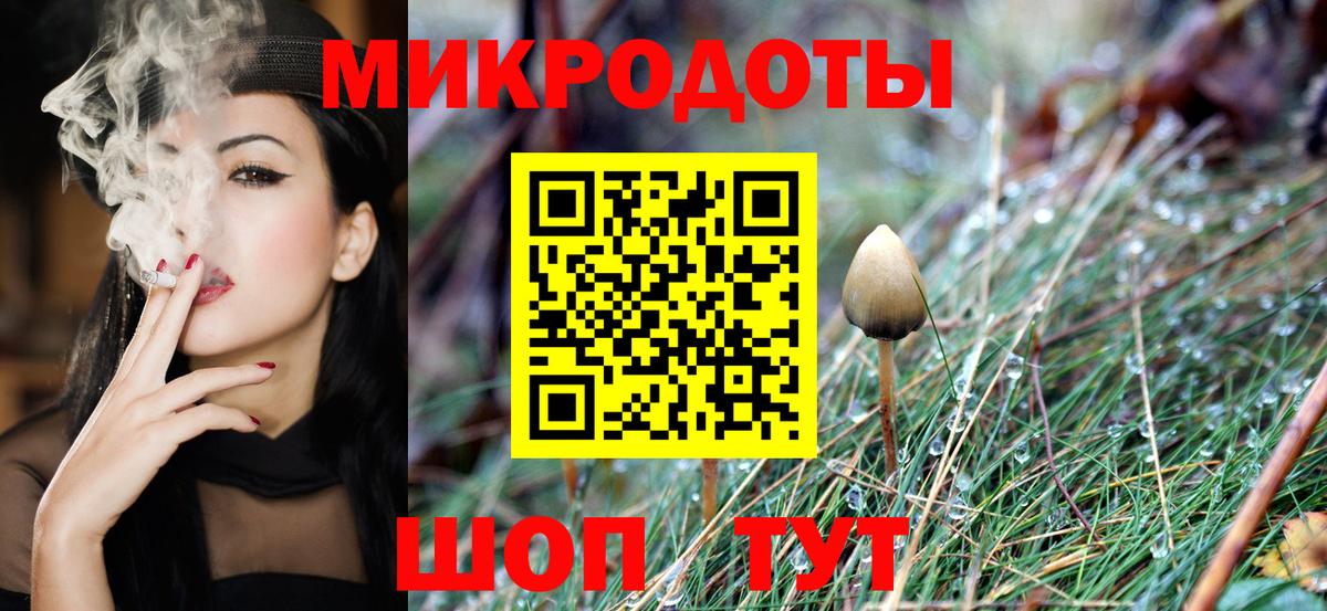 Галлюциногенные грибы Psilocybe  Вход с VPN  Волжск 