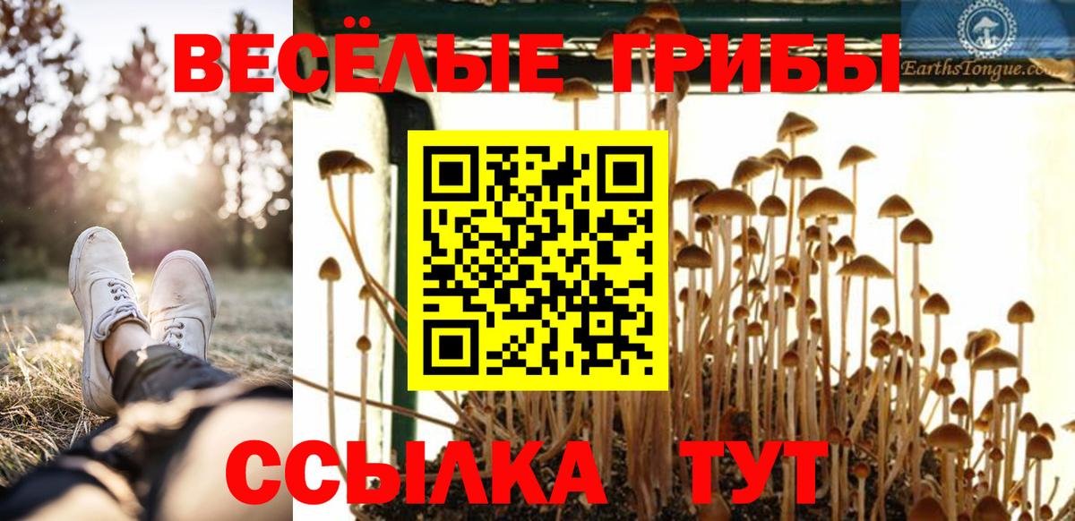 Галлюциногенные грибы Psilocybine cubensis Волжск
